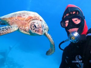 シルバースイフトのダイビング