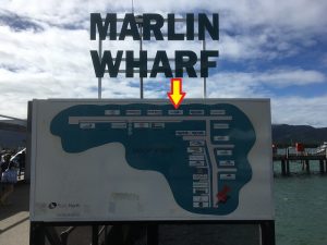シルバースイフト乗船場所